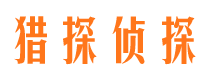 江川侦探